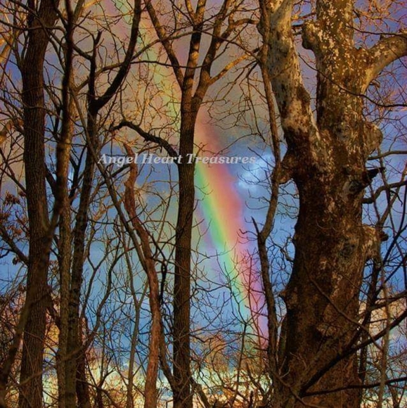 Angel Heart Treasures Other - 🌈4x6 Original Photography of Rainbow & Sycamore